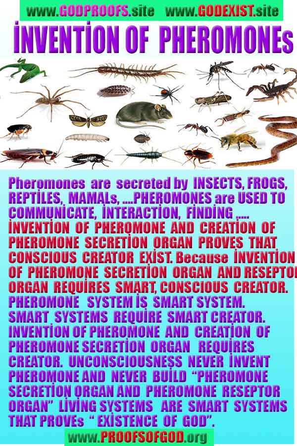 evidences of god, proofs of god, god is real, god exists, no where to escape from GOD, God is everywhere